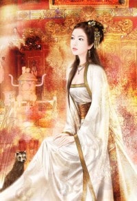 極品小醫仙
